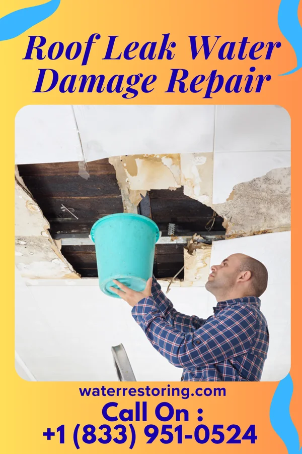 Roof Leak Water Damage Repair in Mayfield, UT